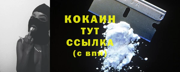ПСИЛОЦИБИНОВЫЕ ГРИБЫ Гусиноозёрск