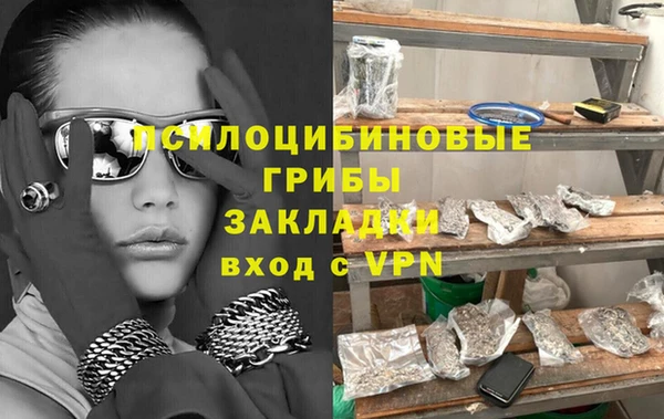 Альфа ПВП Горняк
