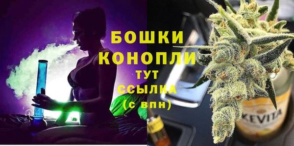 ПСИЛОЦИБИНОВЫЕ ГРИБЫ Гусиноозёрск