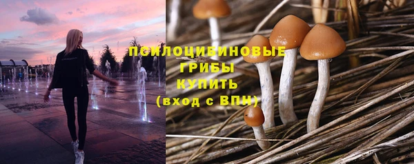 ПСИЛОЦИБИНОВЫЕ ГРИБЫ Гусиноозёрск