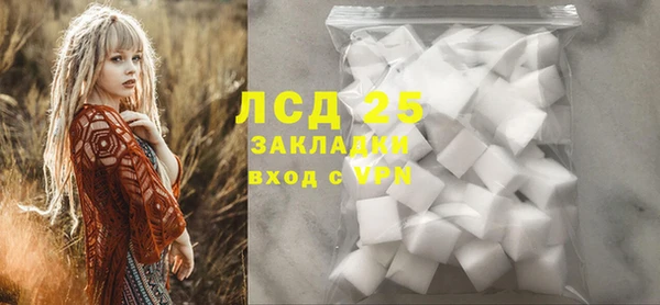 ПСИЛОЦИБИНОВЫЕ ГРИБЫ Гусиноозёрск